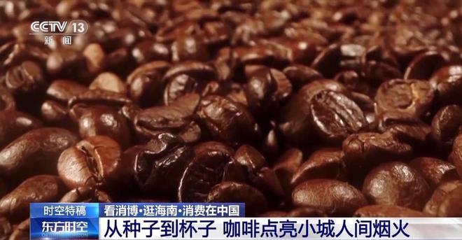 香这是咖啡爱好者的“梦中情地”吧CQ9电子网站阳光海浪伴着咖啡(图5)