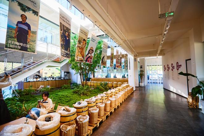 咖啡文化深入了解背后的文化故事CQ9电子普洱北归咖啡庄园体验(图7)