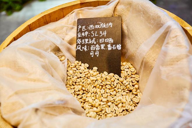 咖啡文化深入了解背后的文化故事CQ9电子普洱北归咖啡庄园体验(图4)